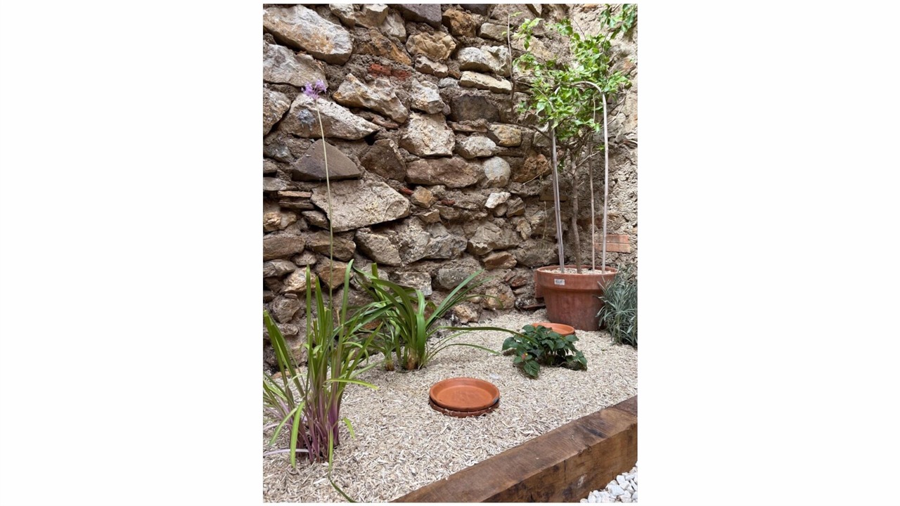 Photo of Outdoor in Luc-sur-Orbieu