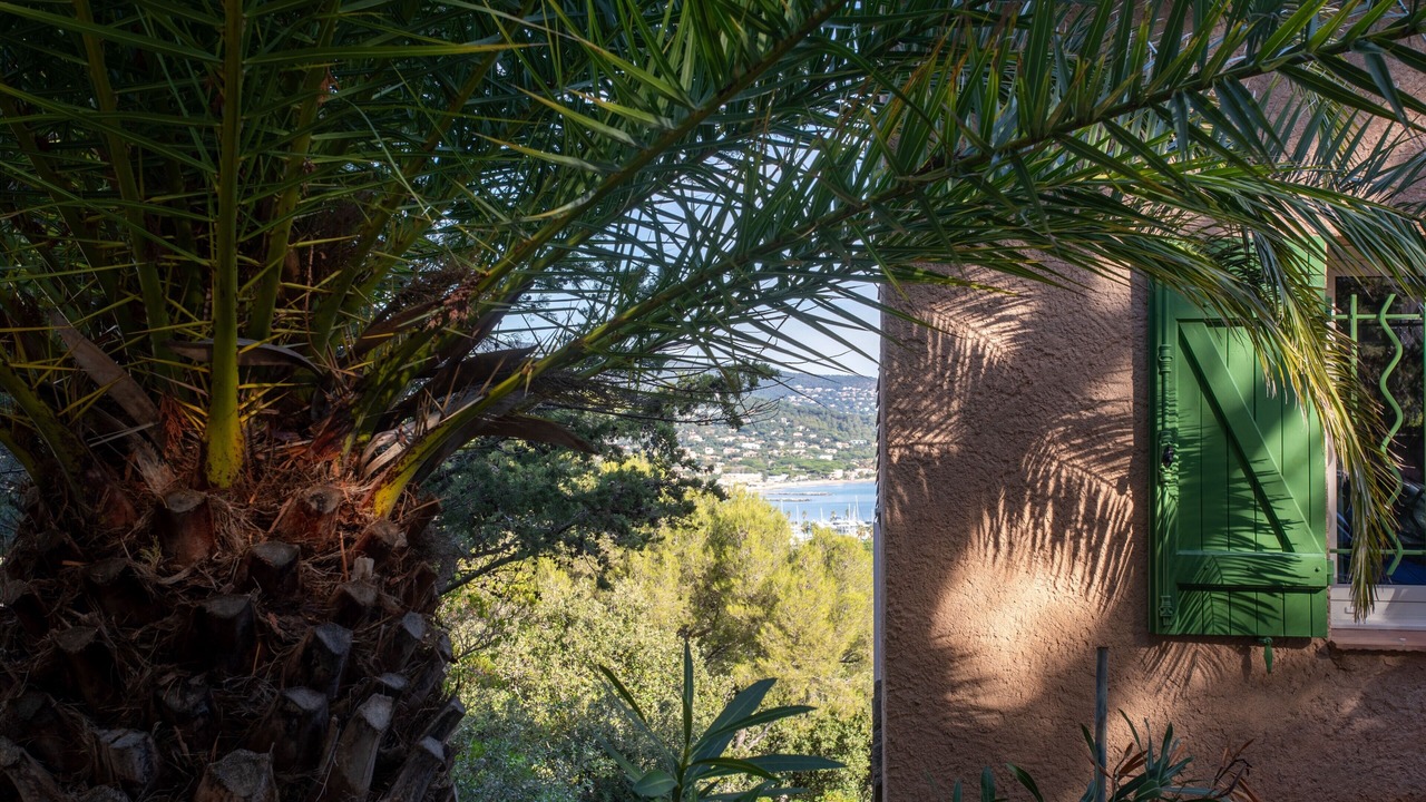 Photo of Outdoor in Cavaliere
