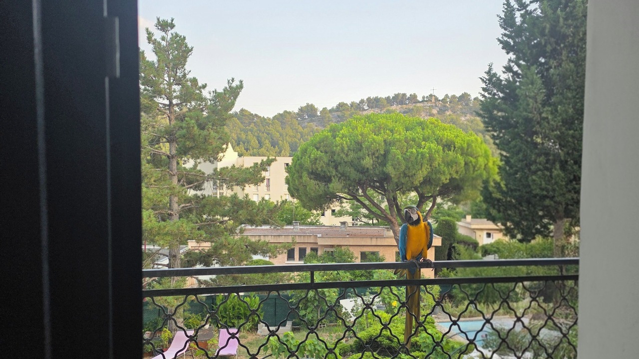 Photo of Others in Carnoux-en-Provence