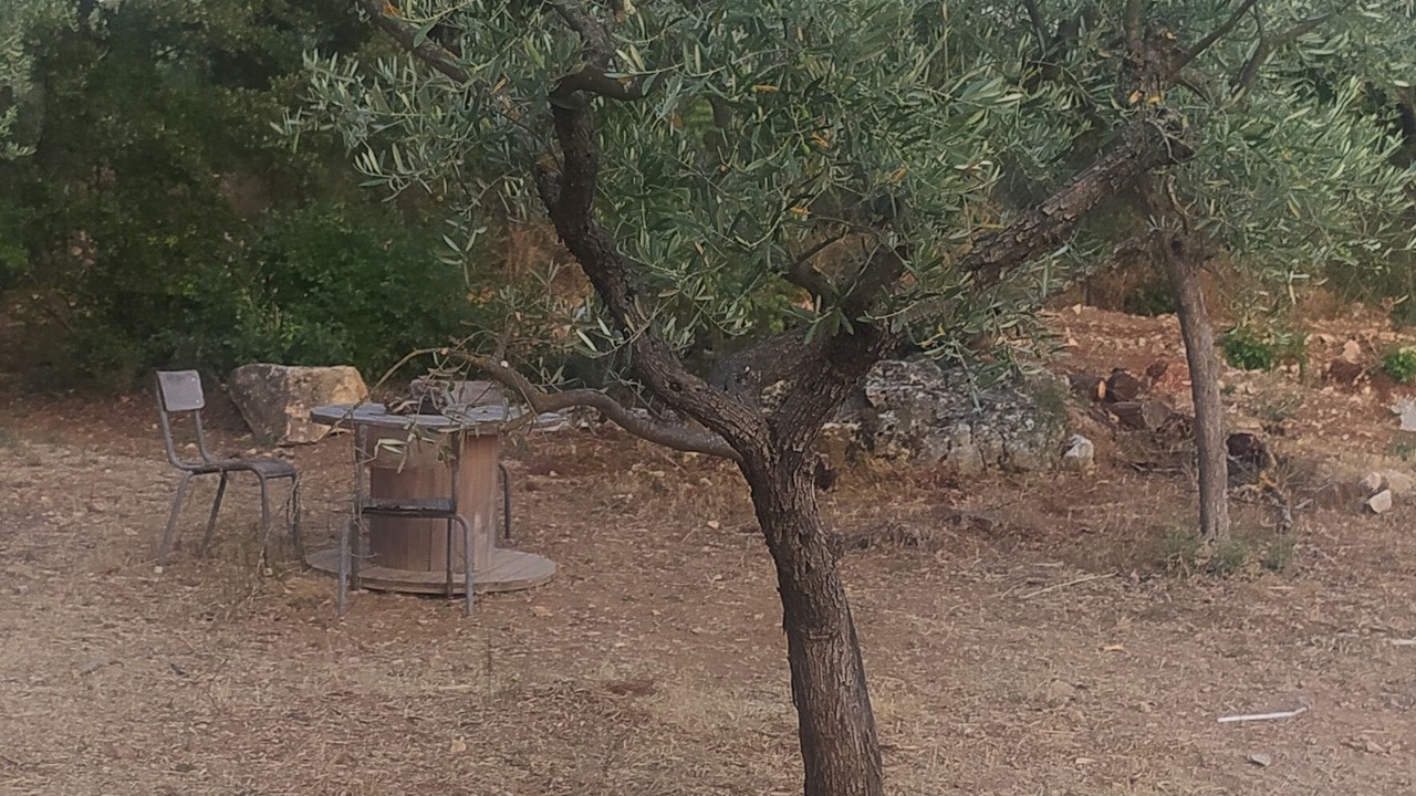 Photo of Outdoor in Tavernes