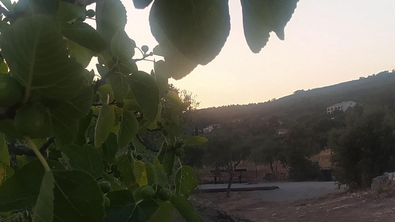 Photo of Outdoor in Tavernes