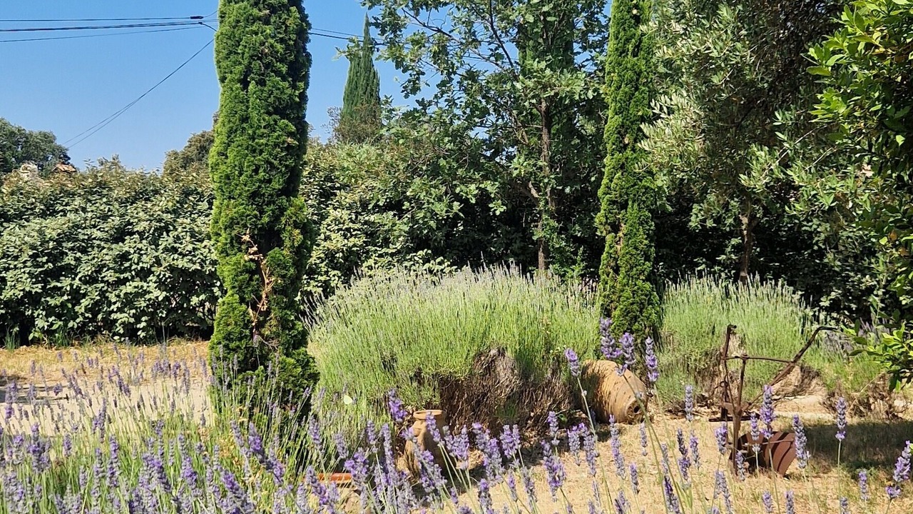 Photo of Outdoor in Sainte-Anastasie-sur-Issole