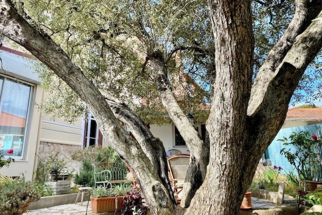 Photo of Outdoor in California - Pezou
