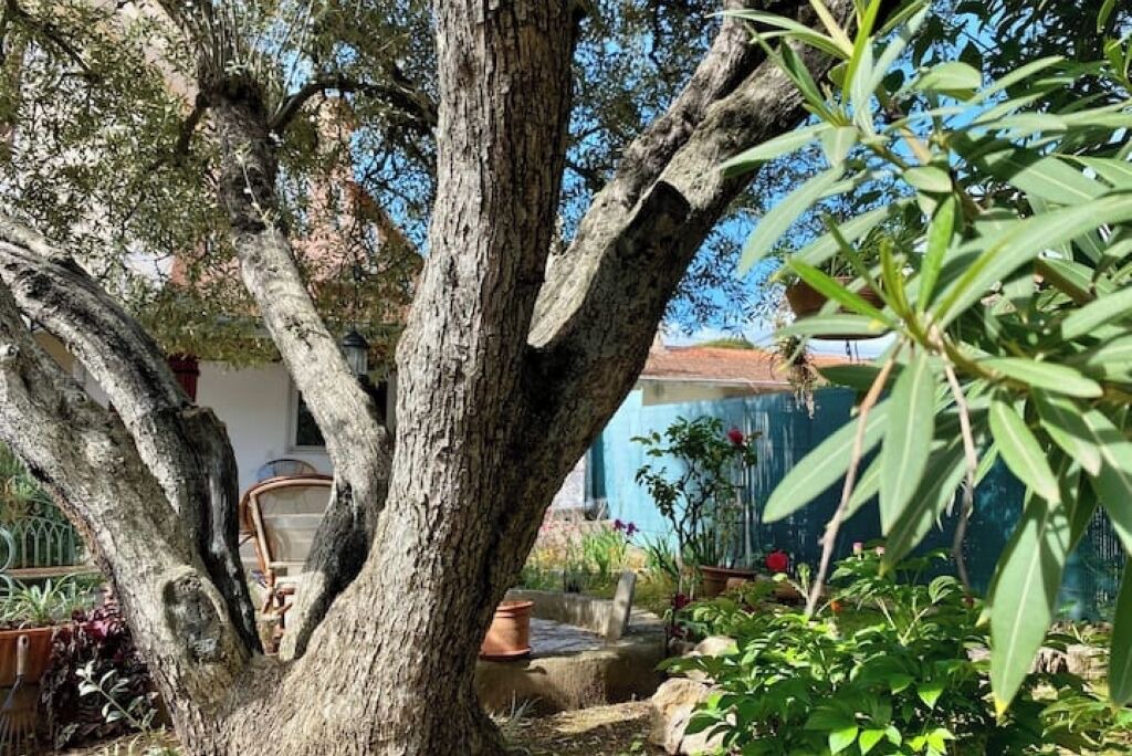 Photo of Outdoor in California - Pezou