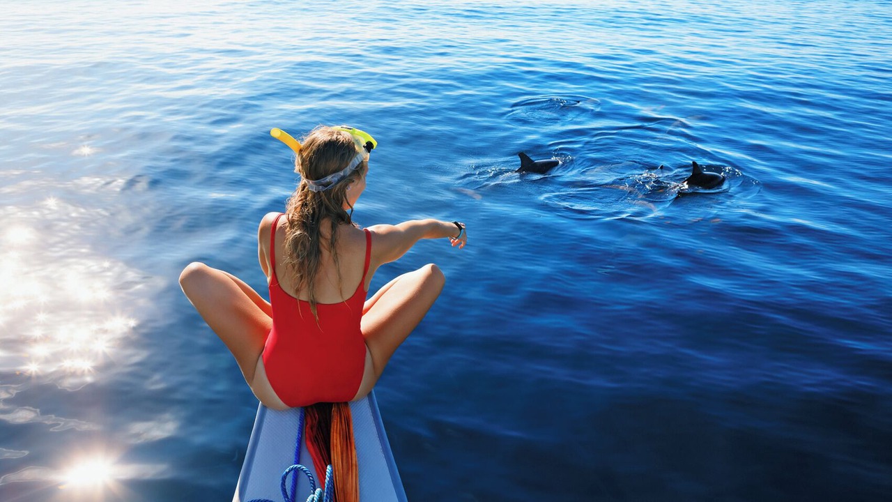 Photo of Others in Port Cogolin