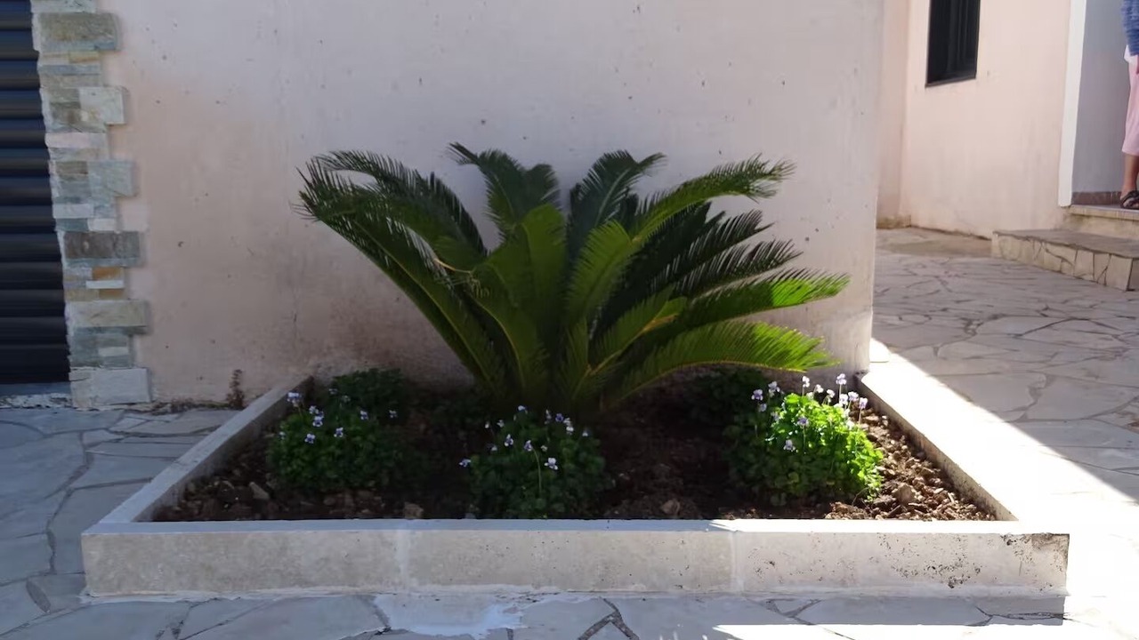 Photo of Outdoor in La Roquebrussanne