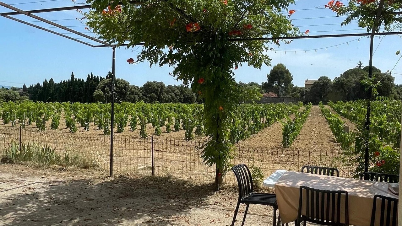 Photo of Outdoor in Courthezon