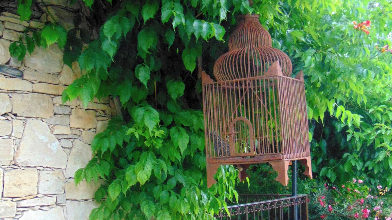 Photo of Outdoor in Revest-Saint-Martin