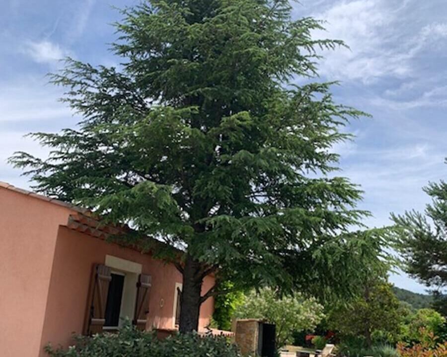 Photo of Outdoor in Salernes