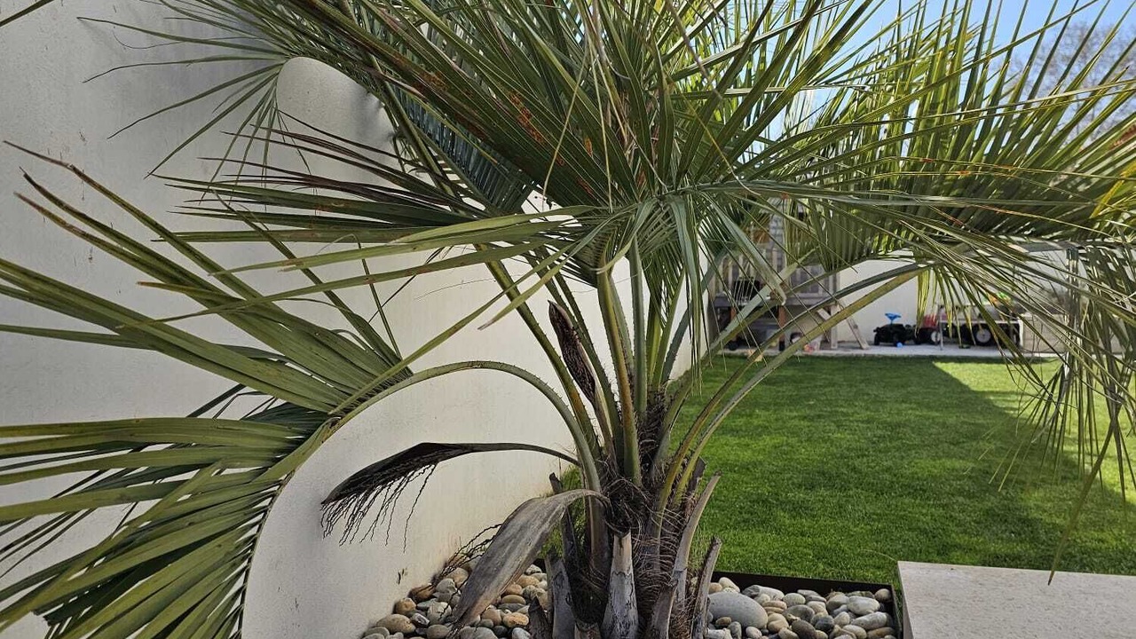Photo of Outdoor in Fabregues