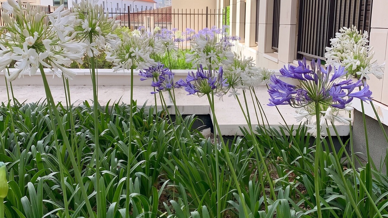 Photo of Outdoor in Saint-Victor