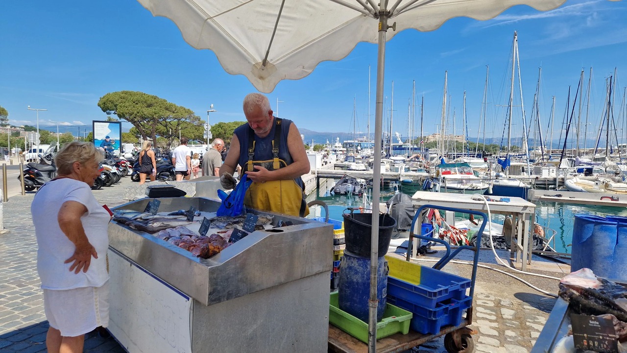 Photo of Others in Le Bar-sur-Loup