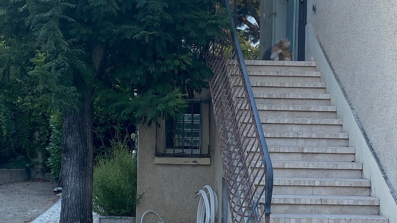 Photo of Outdoor in Saint-Saturnin-les-Avignon