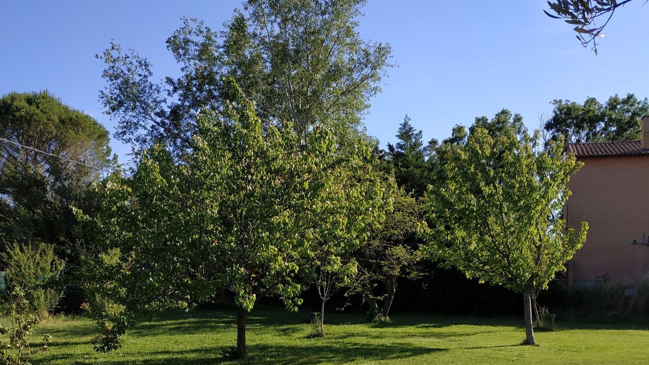 Photo of Outdoor in Pujaut