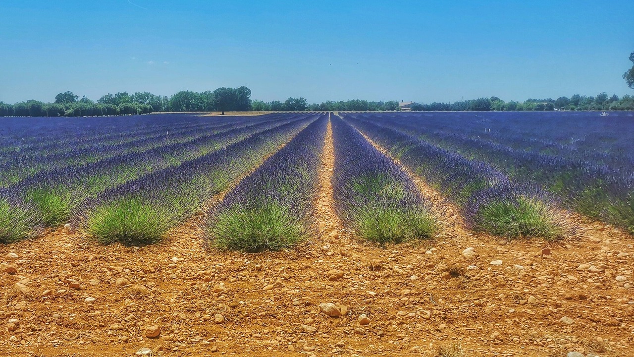 Photo of Others in Sainte-Croix-du-Verdon