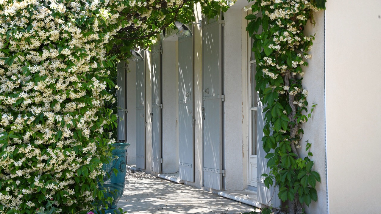 Photo of Outdoor in Serviers-et-Labaume