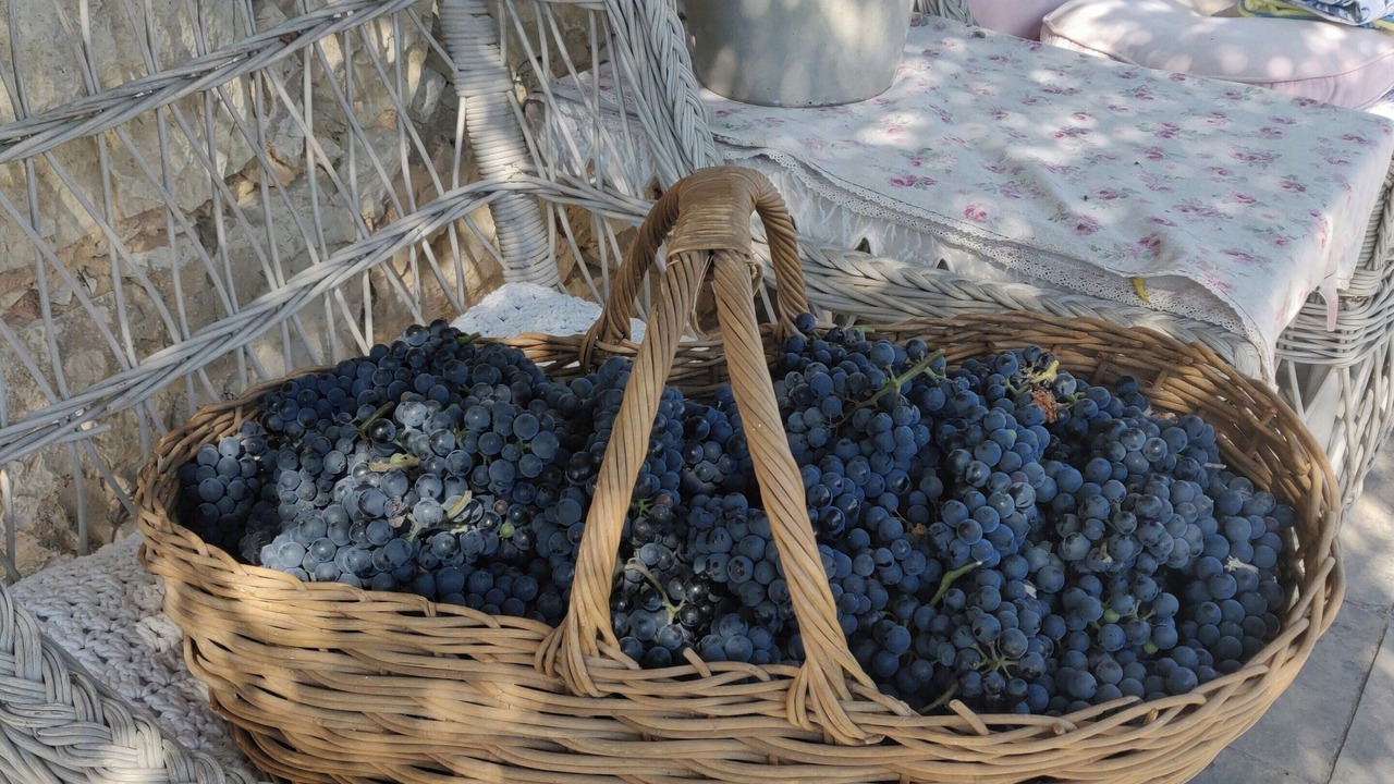 Photo of Outdoor in Roquefort-les-Pins