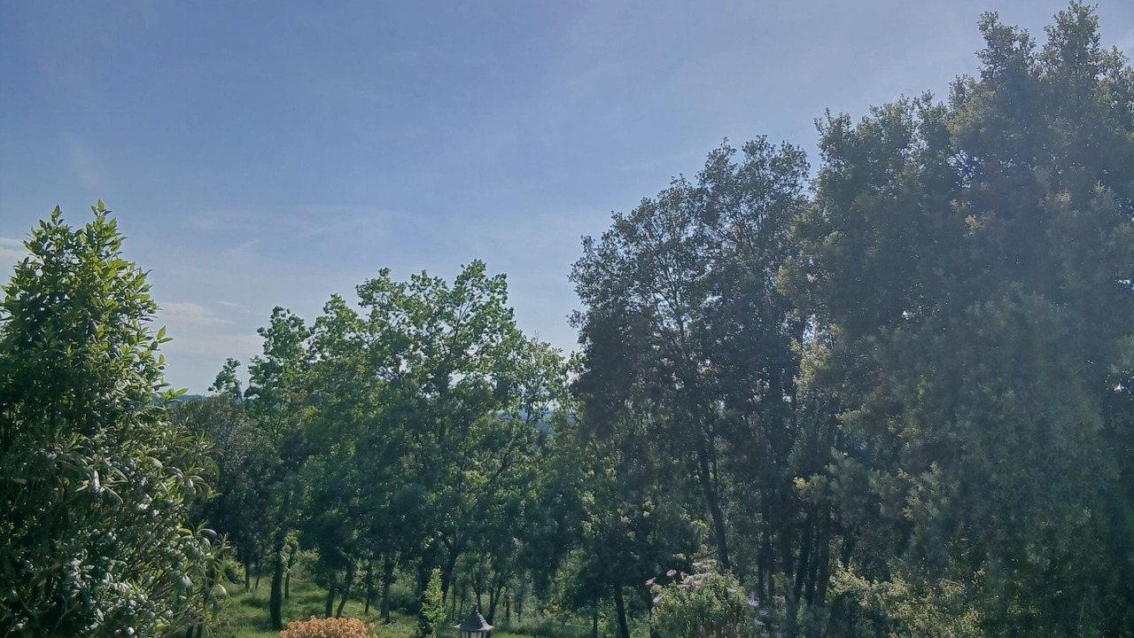 Photo of Outdoor in Seillans