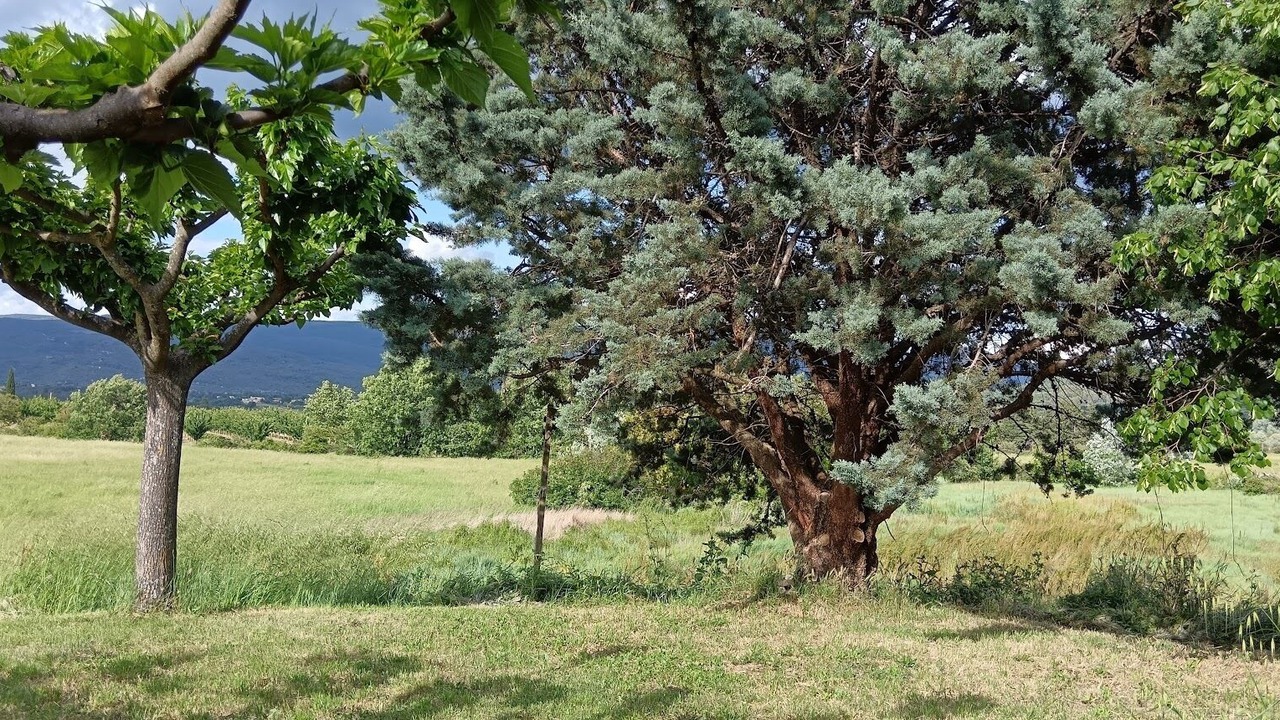 Photo of Others in Gargas