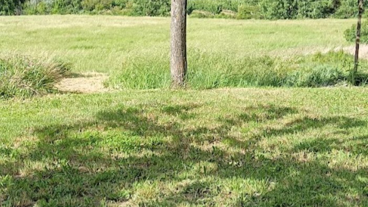 Photo of Others in Gargas