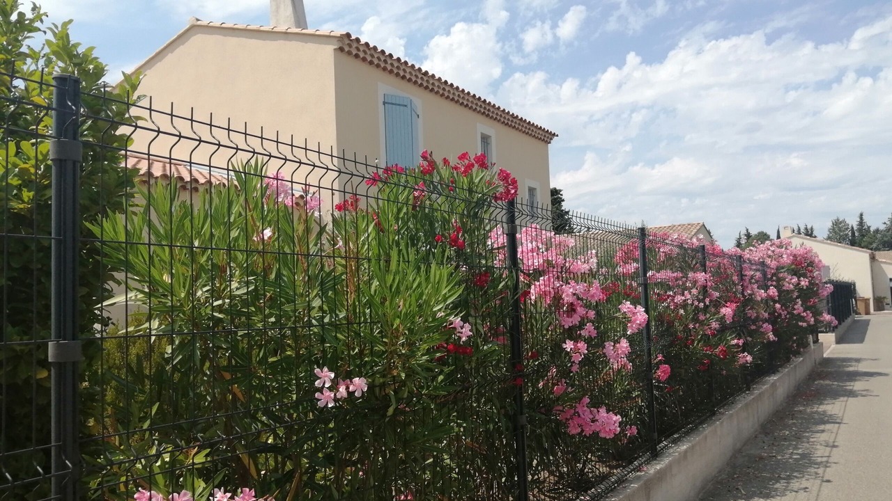 Photo of Outdoor in Cheval-Blanc