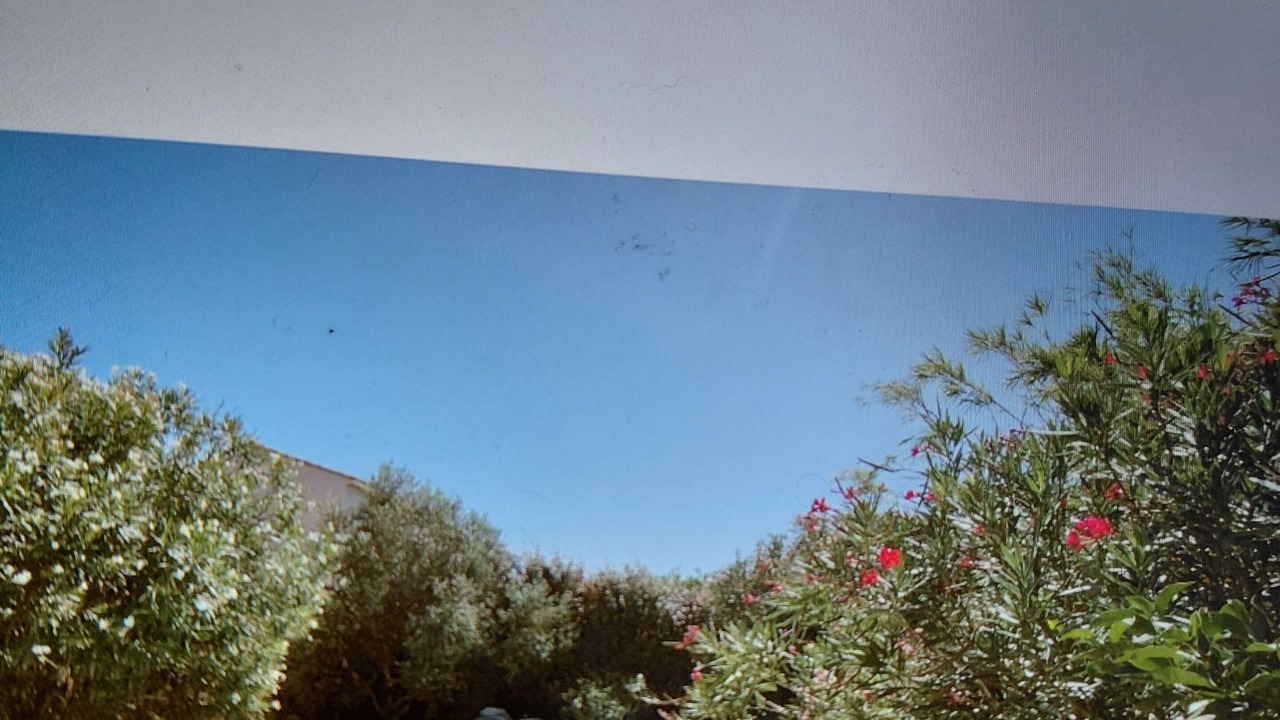 Photo of Outdoor in Cheval-Blanc