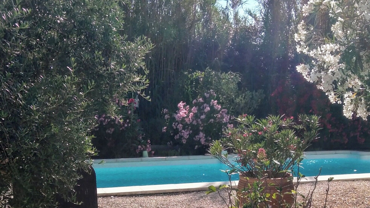 Photo of Outdoor in Cheval-Blanc