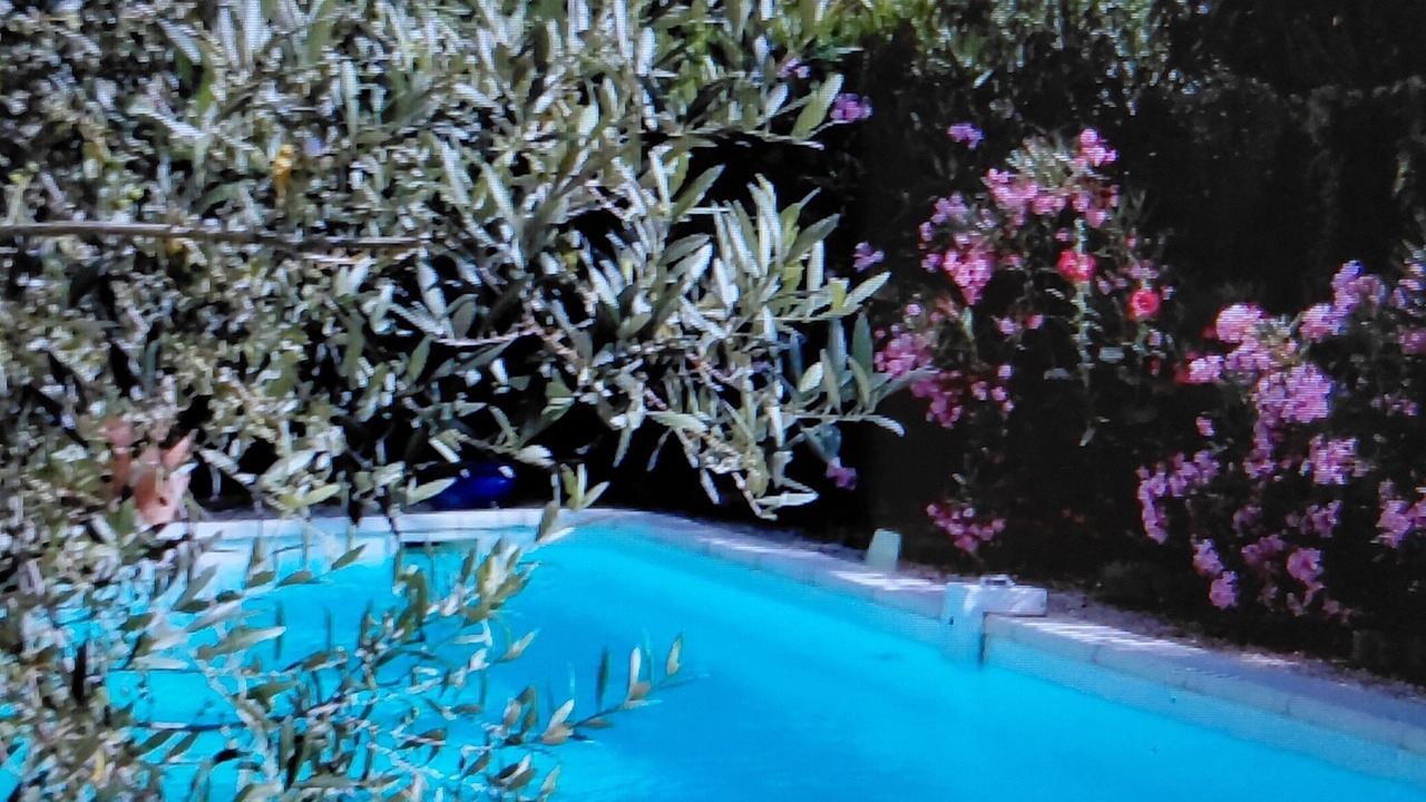 Photo of Outdoor in Cheval-Blanc