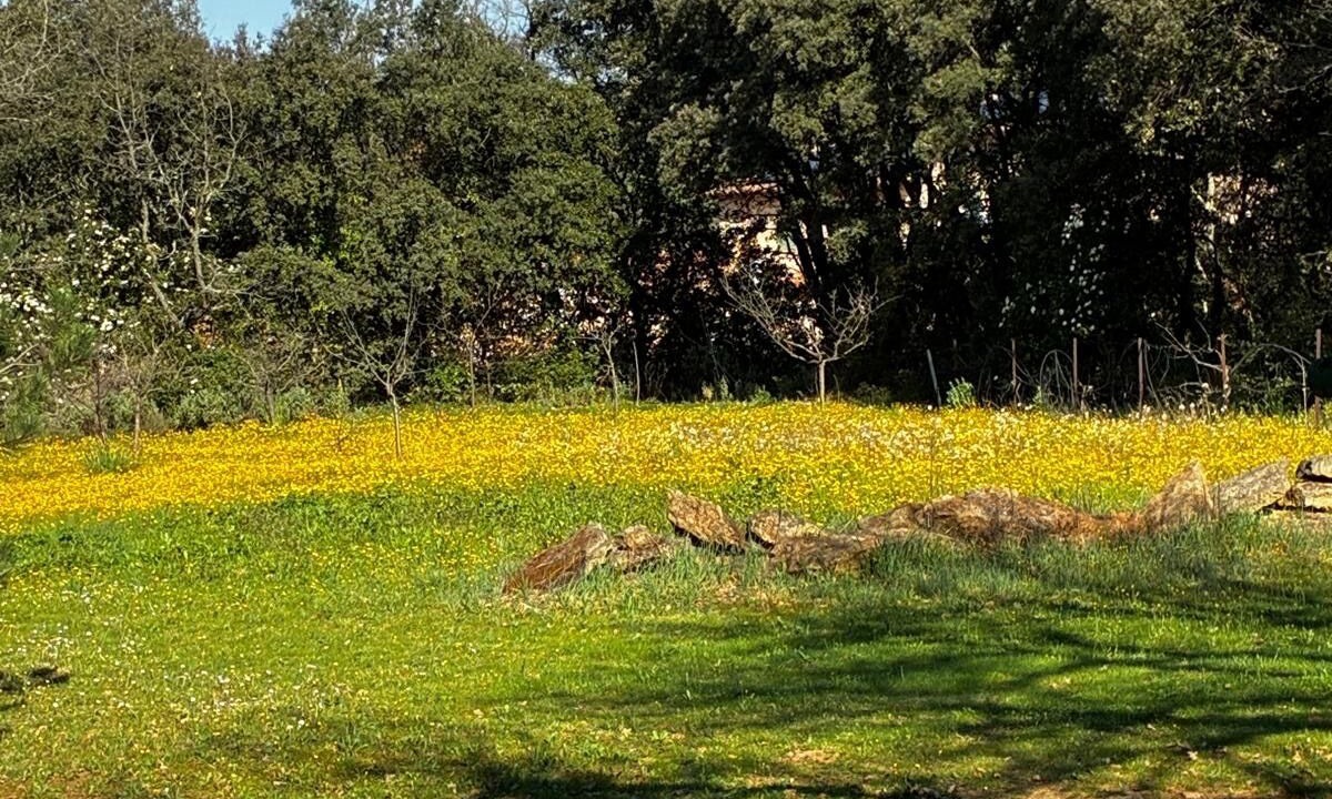 Photo of Outdoor in Rognes