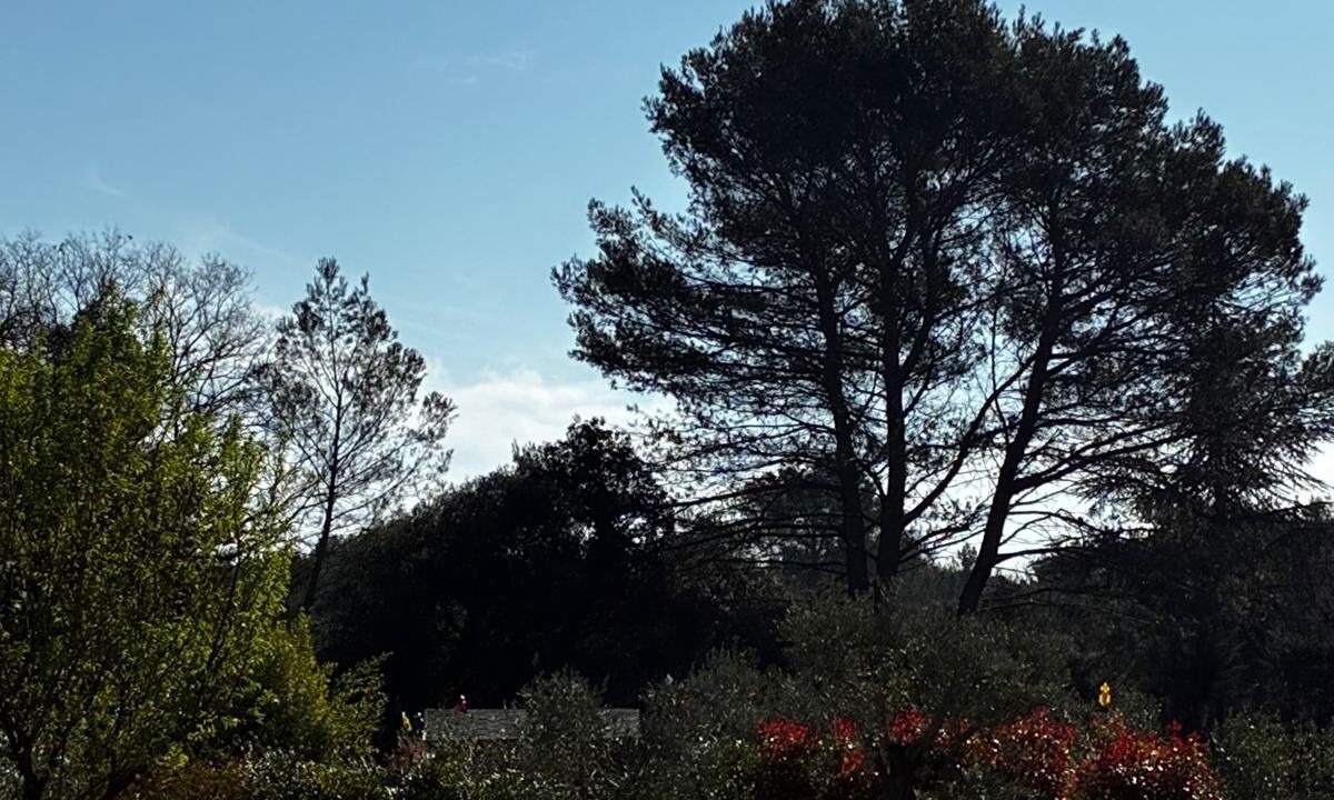 Photo of Others in Rognes