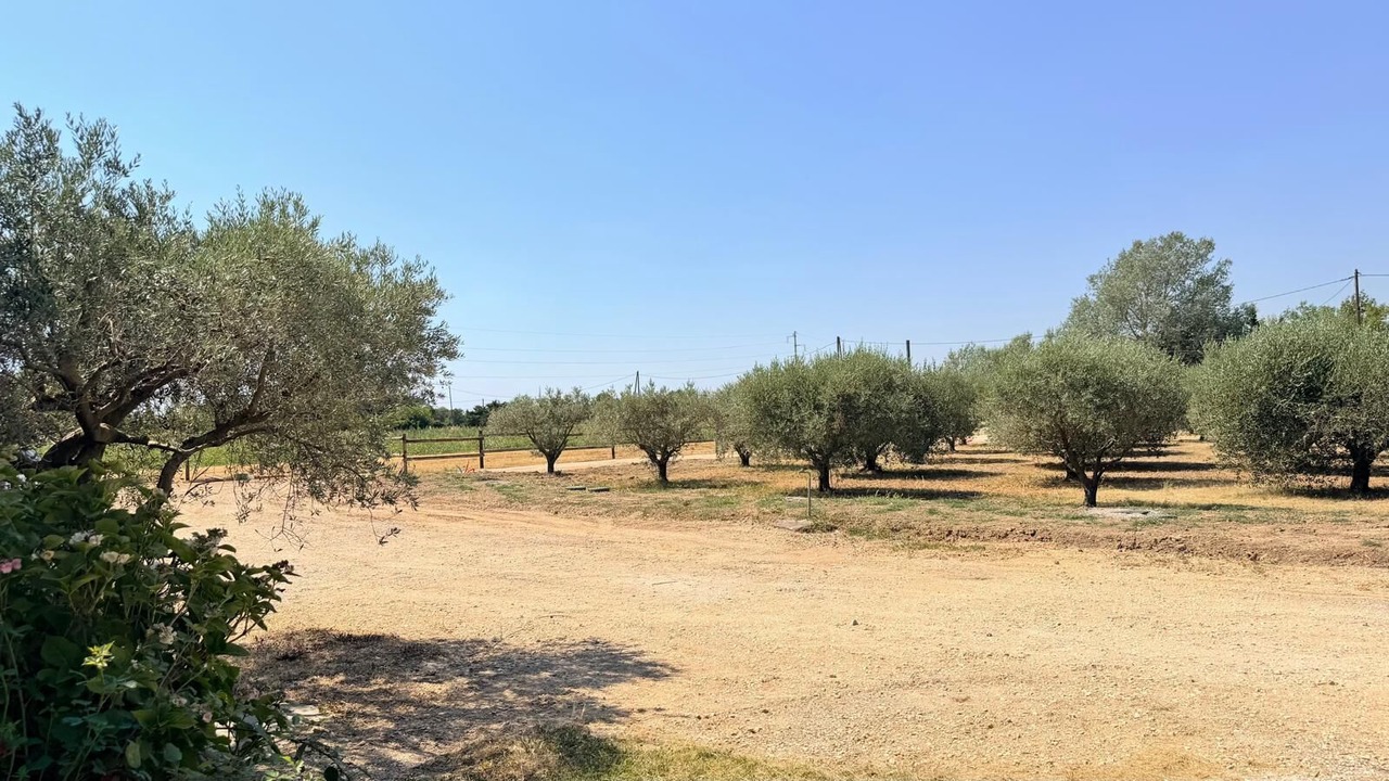 Photo of Others in Mallemort
