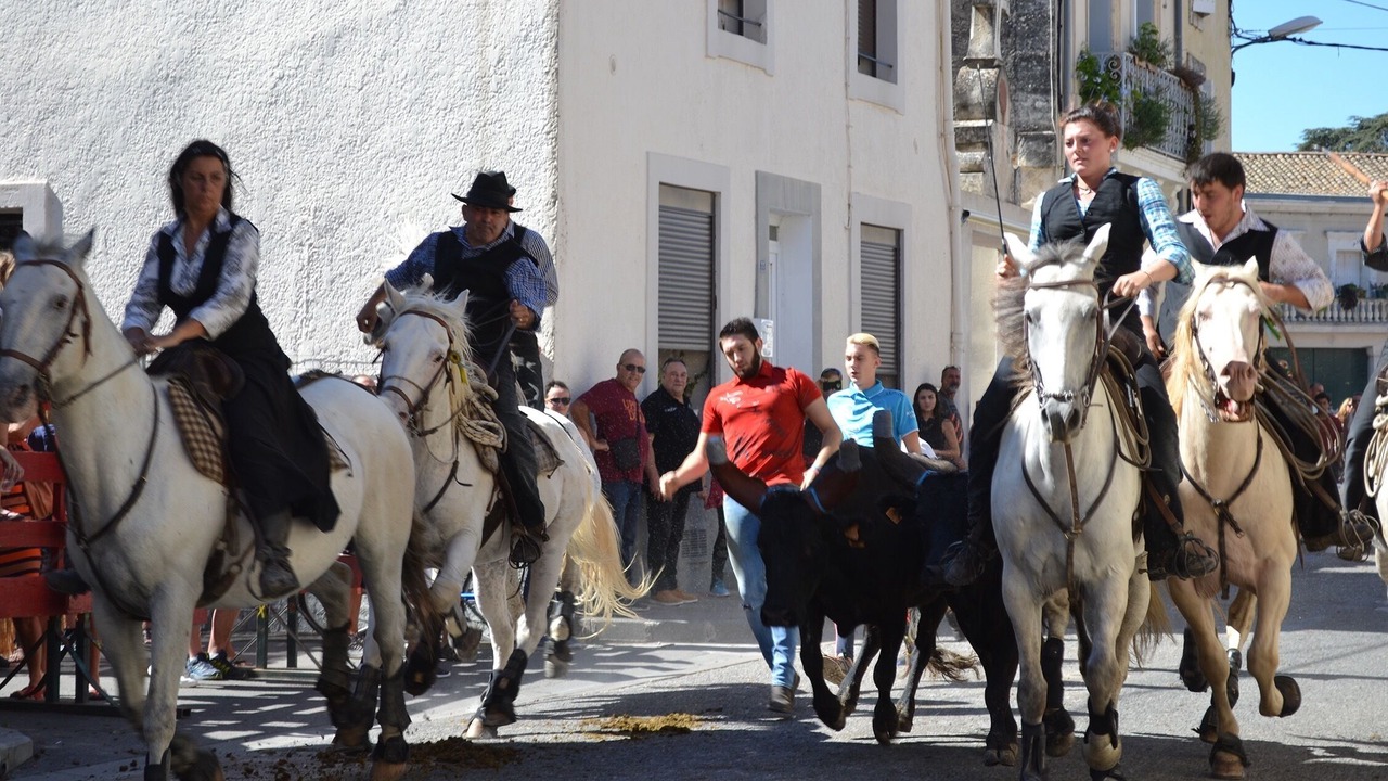 Photo of Others in Lunel-Viel