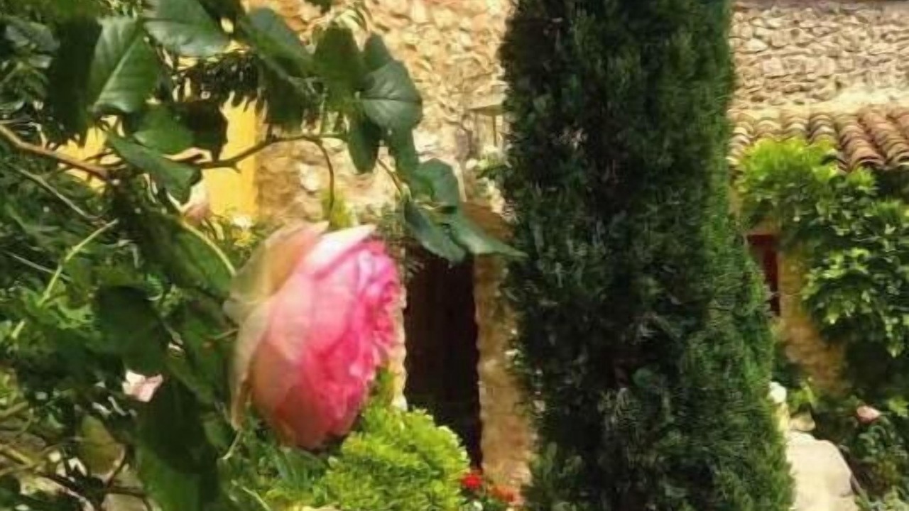 Photo of Outdoor in Ventabren