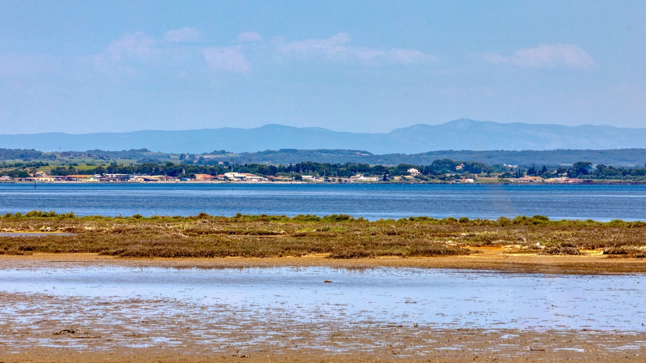 Photo of Others in Marseillan