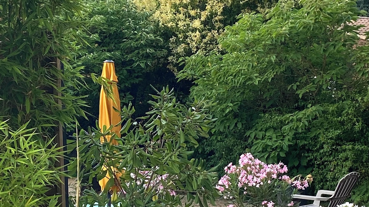 Photo of Outdoor in Nages-et-Solorgues