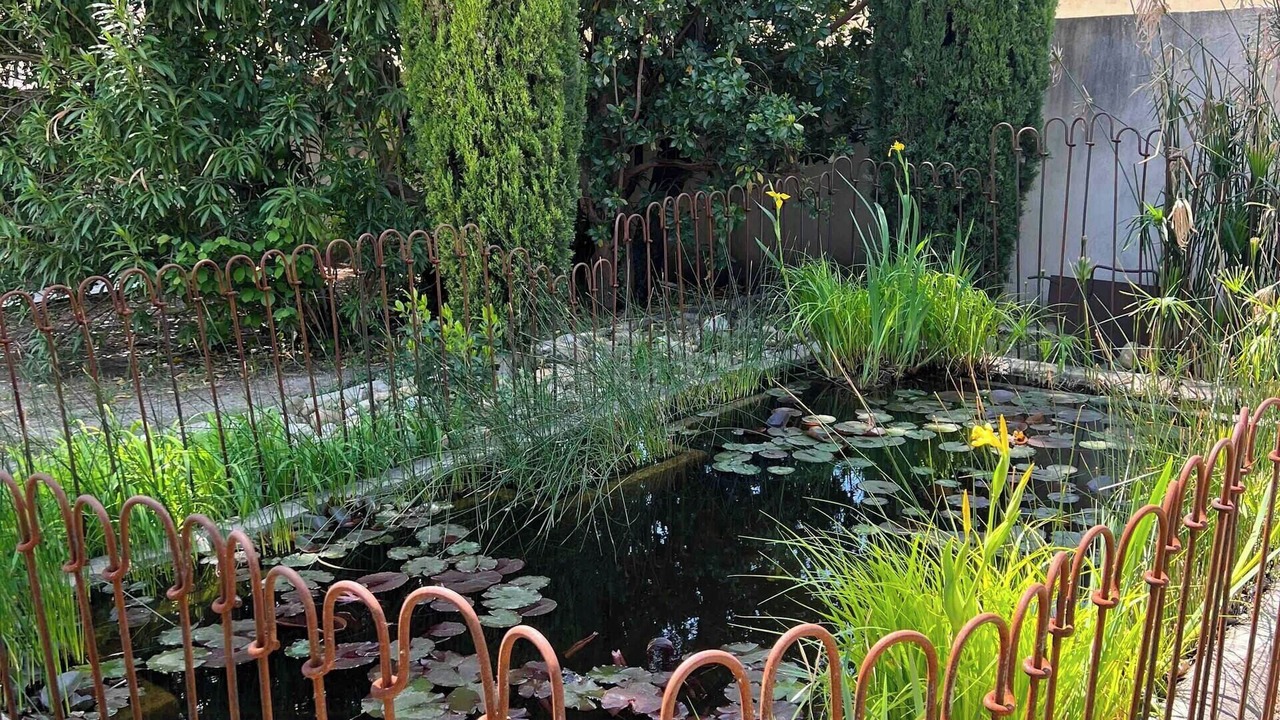 Photo of Outdoor in Paradou