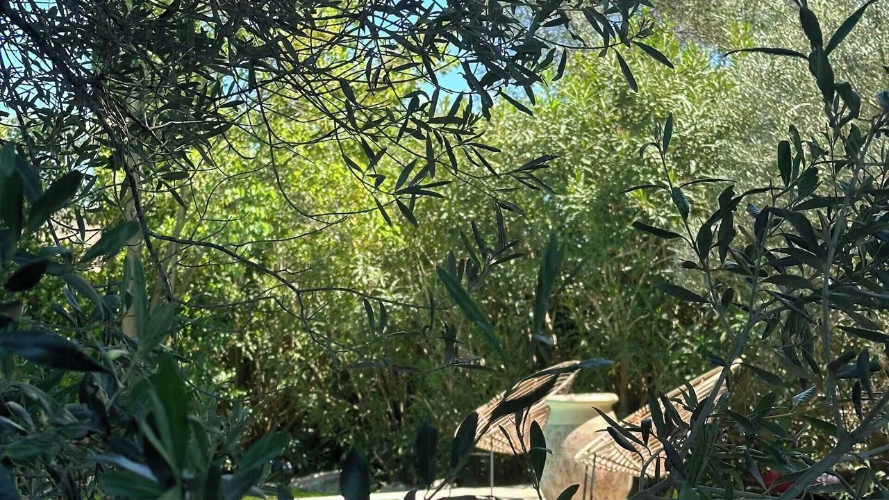 Photo of Outdoor in Paradou