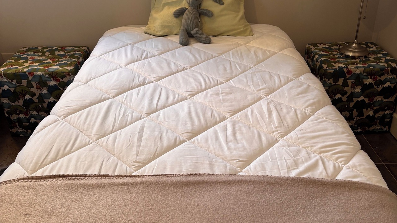 Photo of Bedroom in Apt