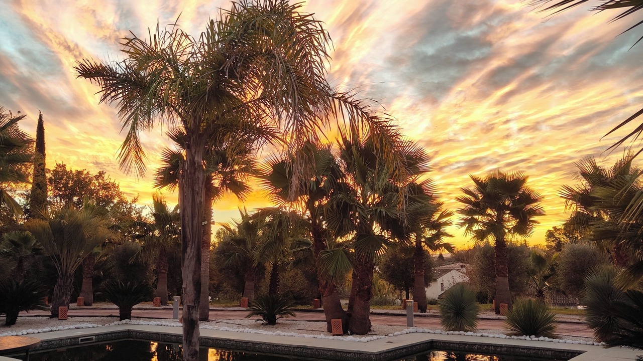 Photo of Outdoor in Lorgues