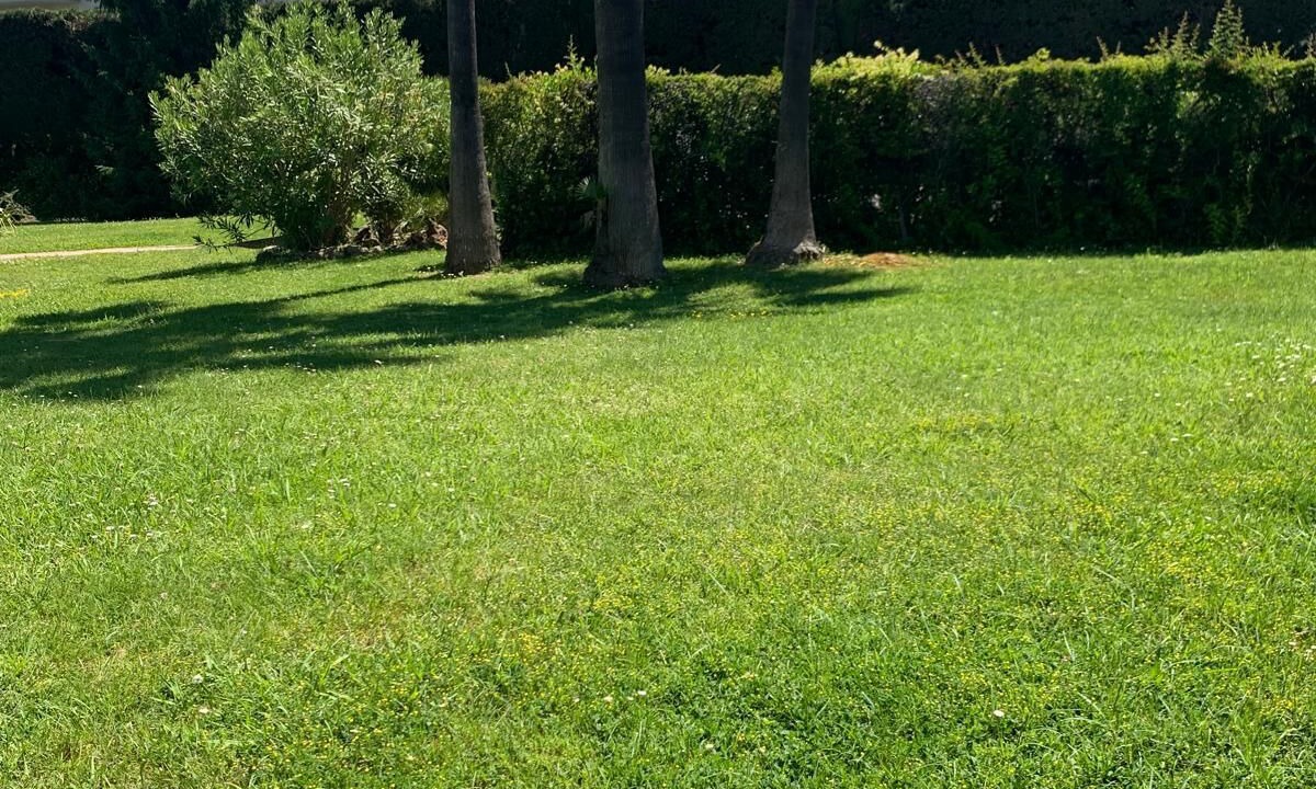 Photo of Outdoor in Mandelieu-La-Napoule