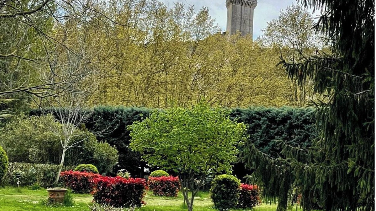 Photo of Outdoor in Beaucaire