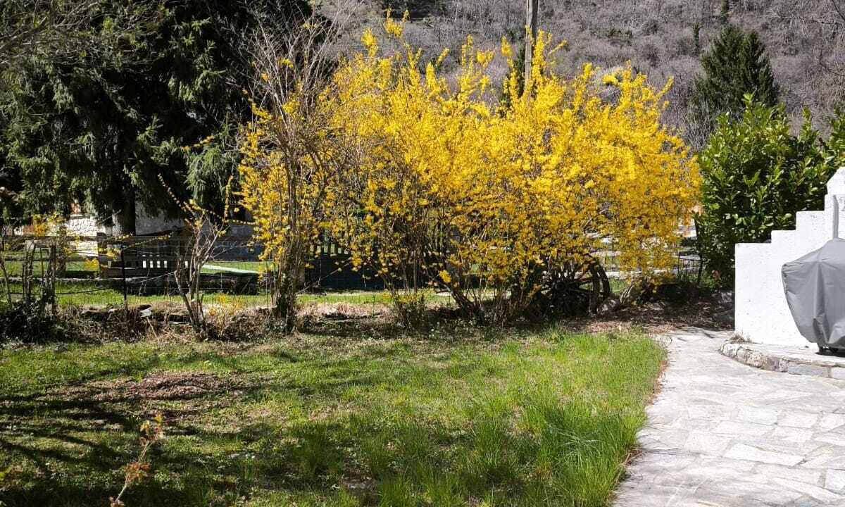 Photo of Outdoor in Saint-Martin-Vesubie