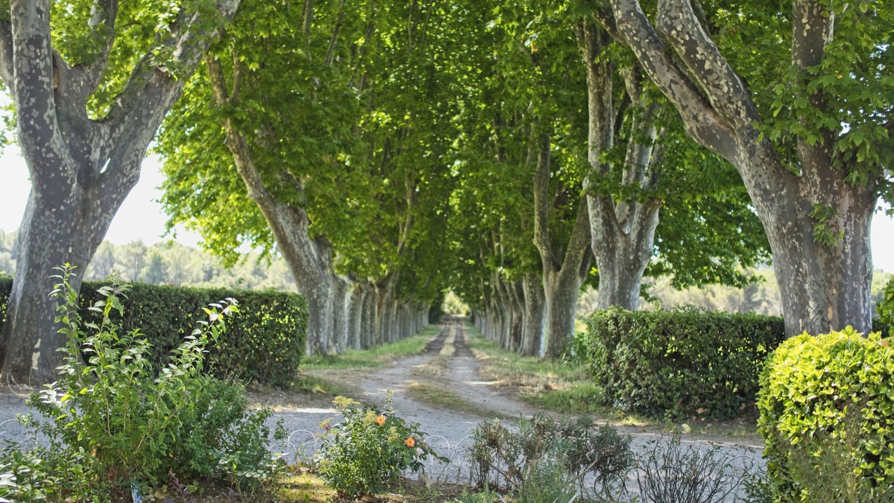 Photo of Outdoor in Saint-Chamas
