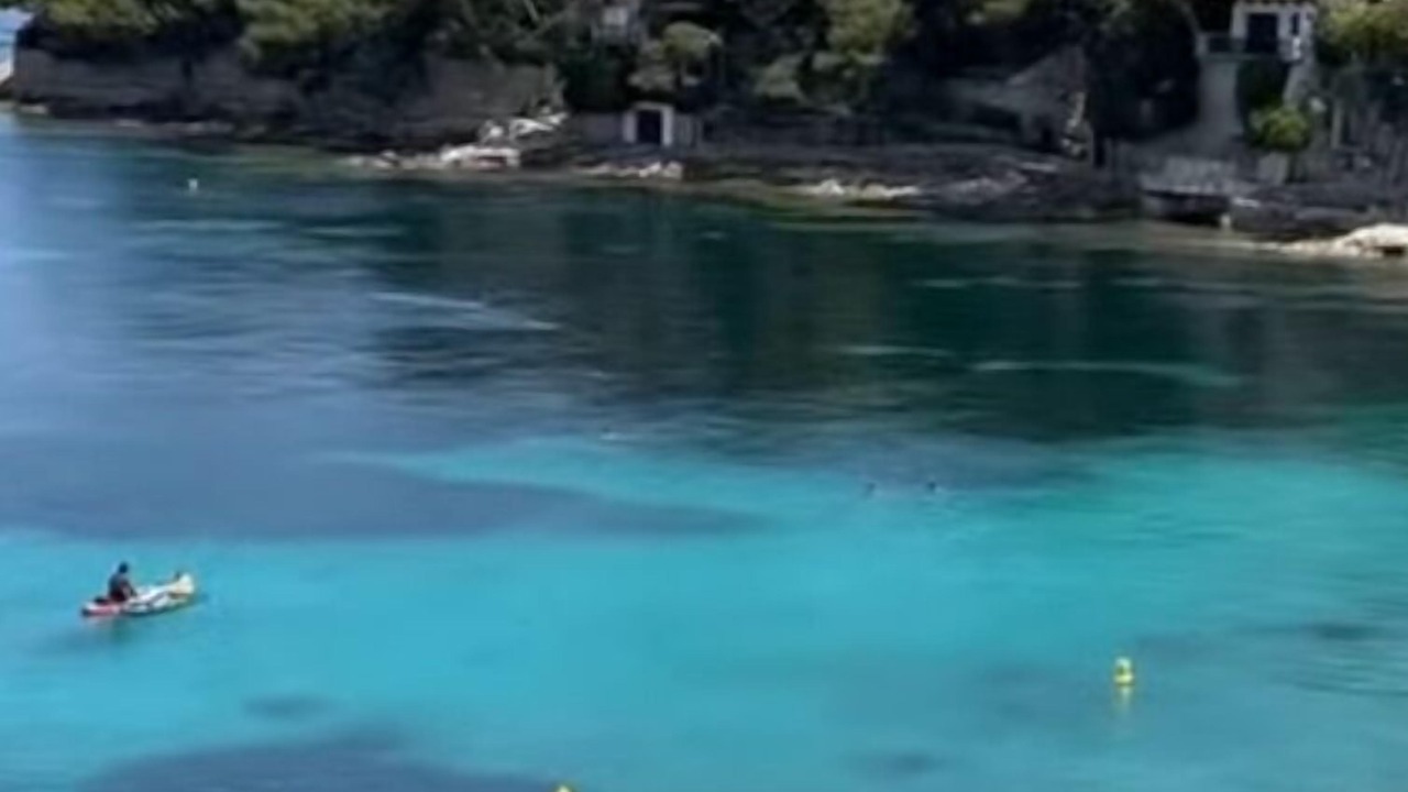 Photo of Others in Saint-Jean-Cap-Ferrat