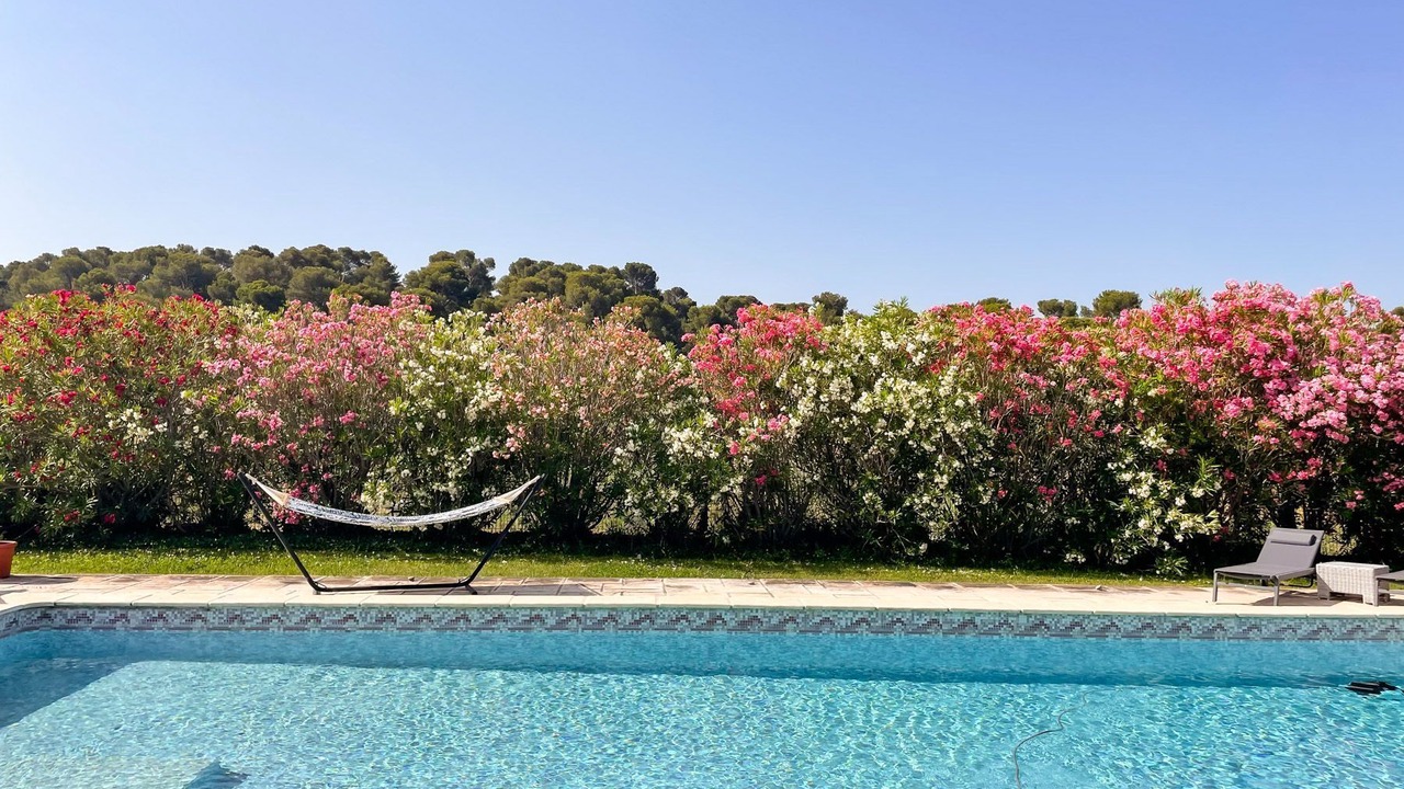Photo of Outdoor in Maussane-les-Alpilles