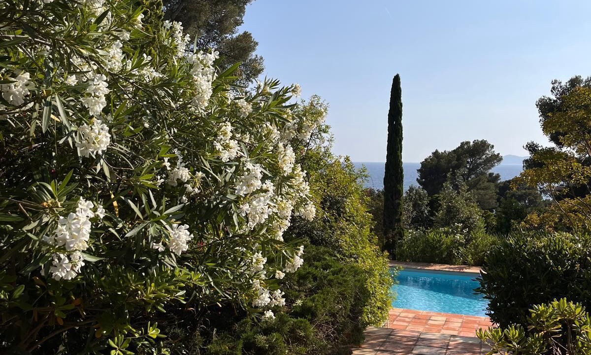 Photo of Outdoor in Le Rayol