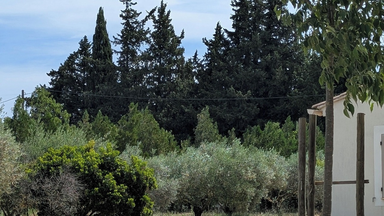 Photo of Outdoor in Graveson