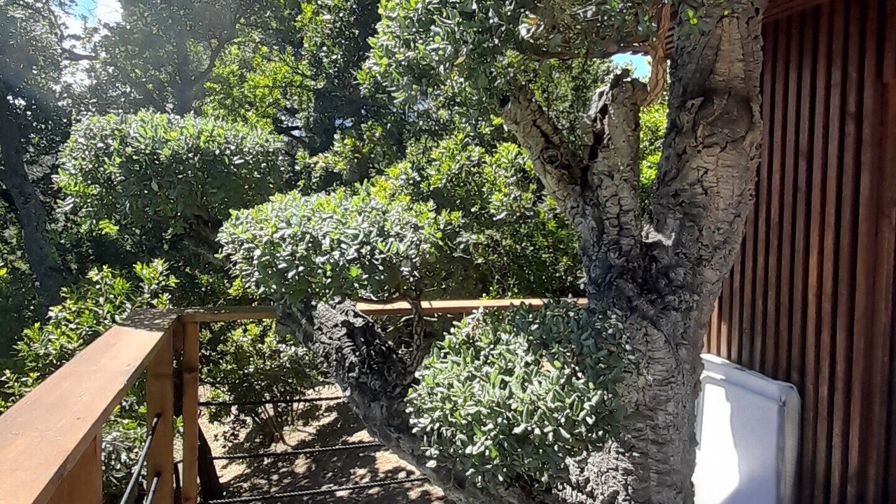 Photo of Outdoor in Les Issambres