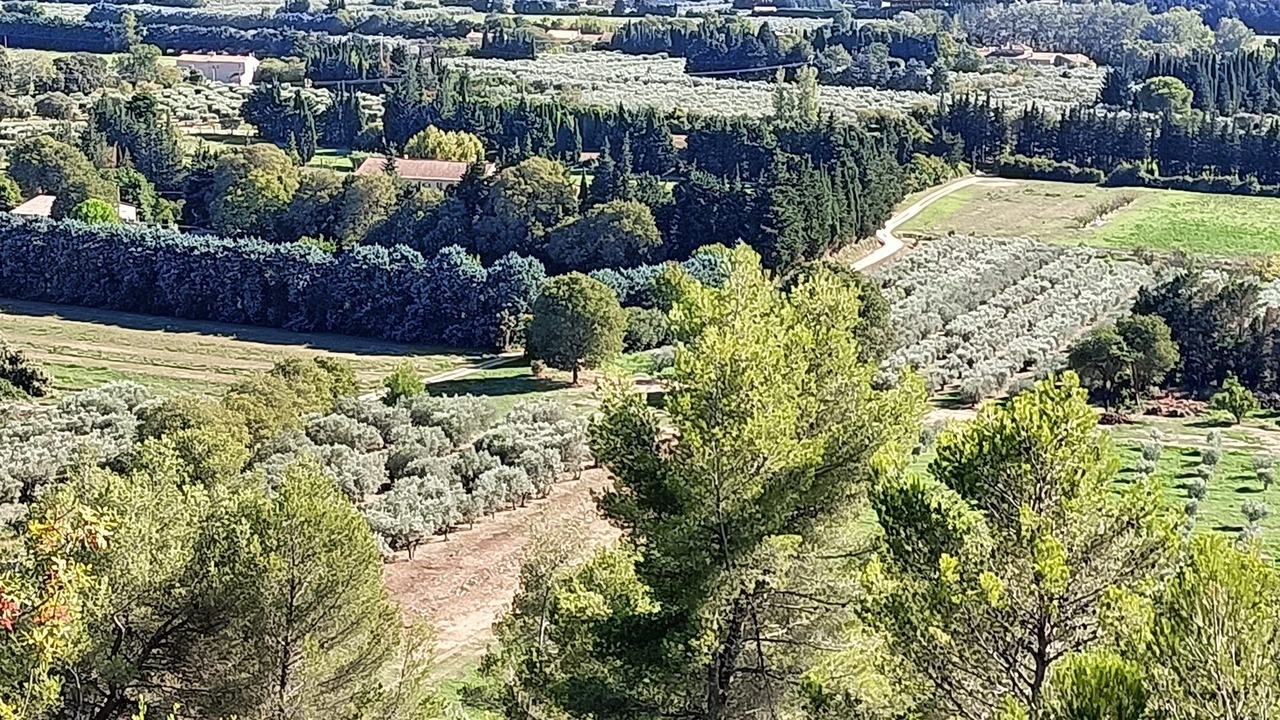 Photo of Others in Tarascon