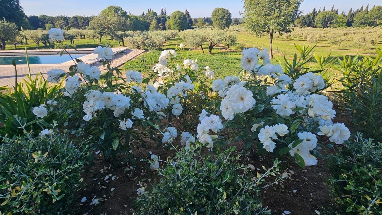 Photo of Outdoor in Tarascon